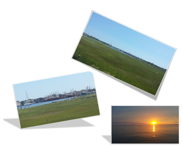 Long Beach Island NJ Real Estate